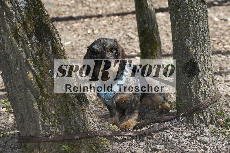 /03 04.04.2026 Speer Racing ADR/Impressionen